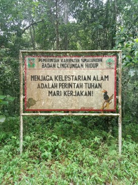 A weathered sign stands in front of a lush, green forest backdrop. The sign, bordered in red, bears a message in Indonesian about nature conservation and obeying divine commandments. The surrounding environment is dense with various shades of green foliage and trees.