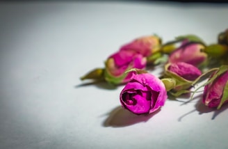 a bunch of pink roses sitting on top of a table