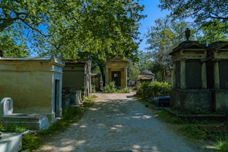 Tombs and mausoleums are arranged along a dirt path, surrounded by lush green trees. The scene is peaceful, with sunlight filtering through the leaves, casting dappled shadows on the ground.