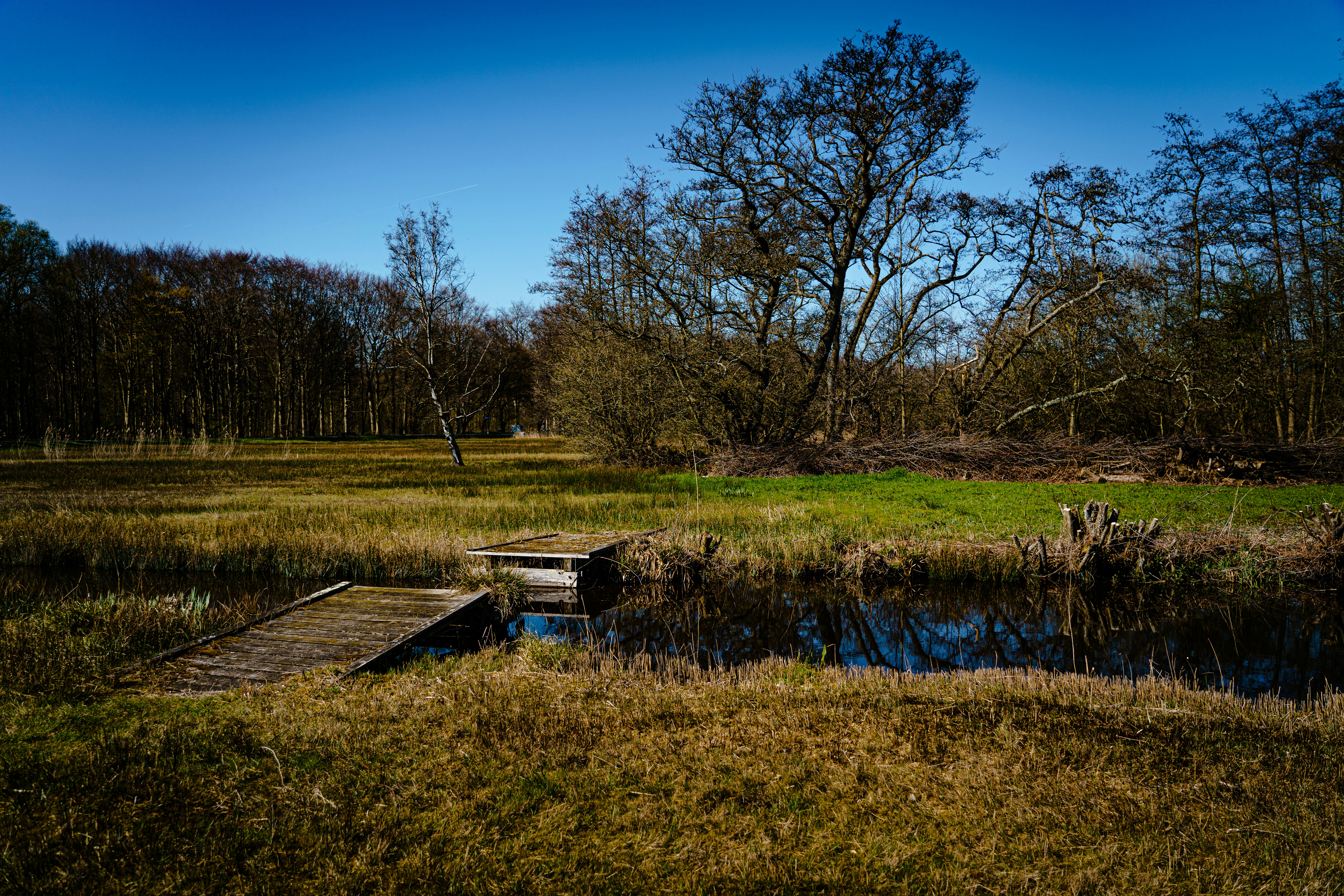 Photo by mitchelanneveldt