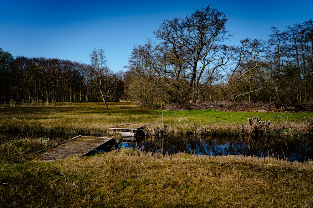 a wooden dock sitting in the middle of a lush green field