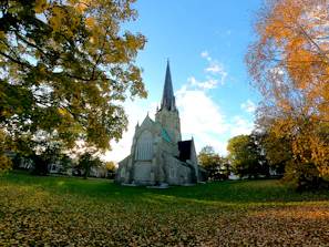 Historic St. Peter’s Church in Leuven surrounded by autumn trees with golden leaves