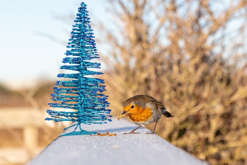 a small bird standing on top of a roof next to a blue christmas tree