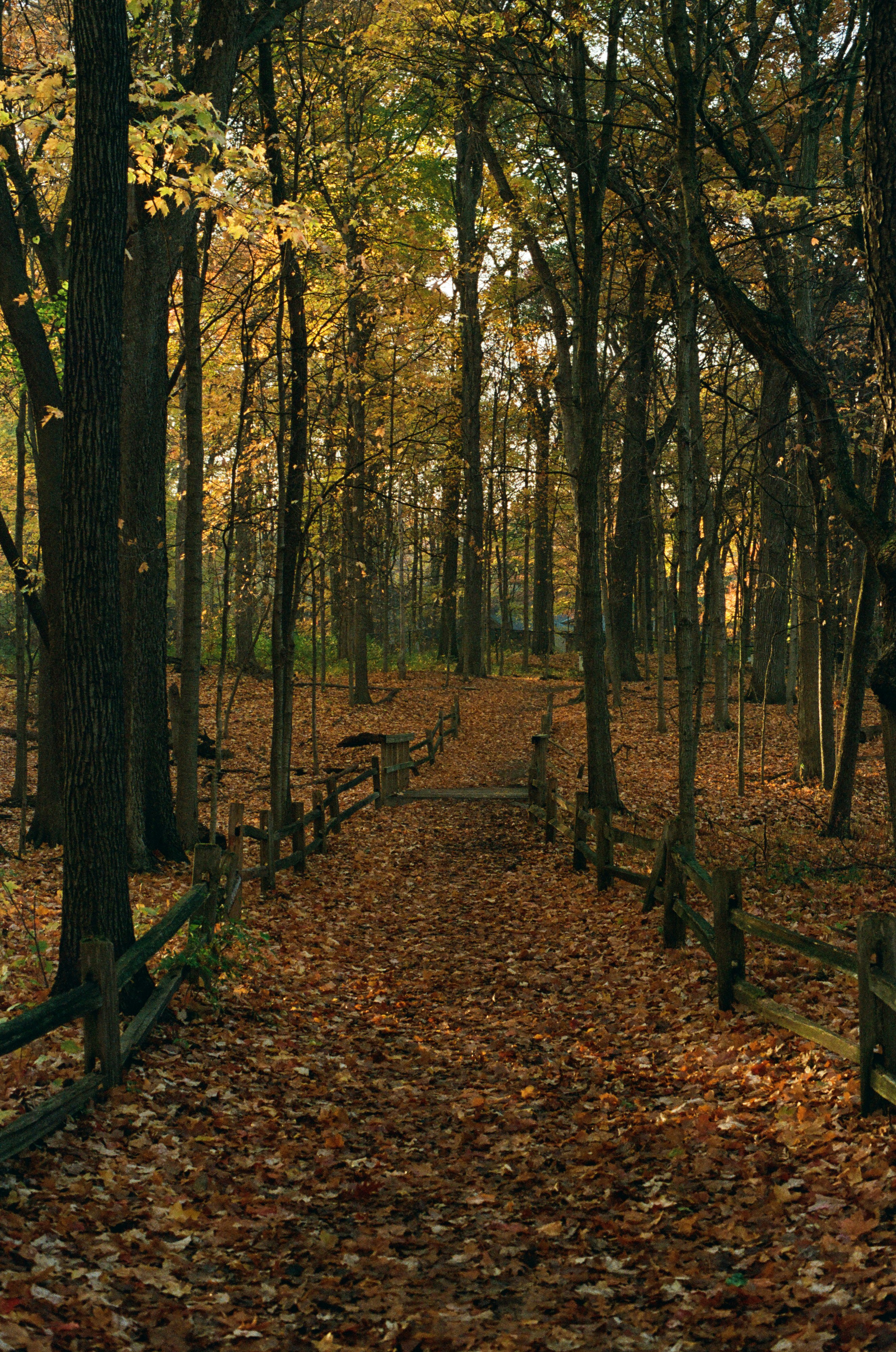 Photo by ukprajapati