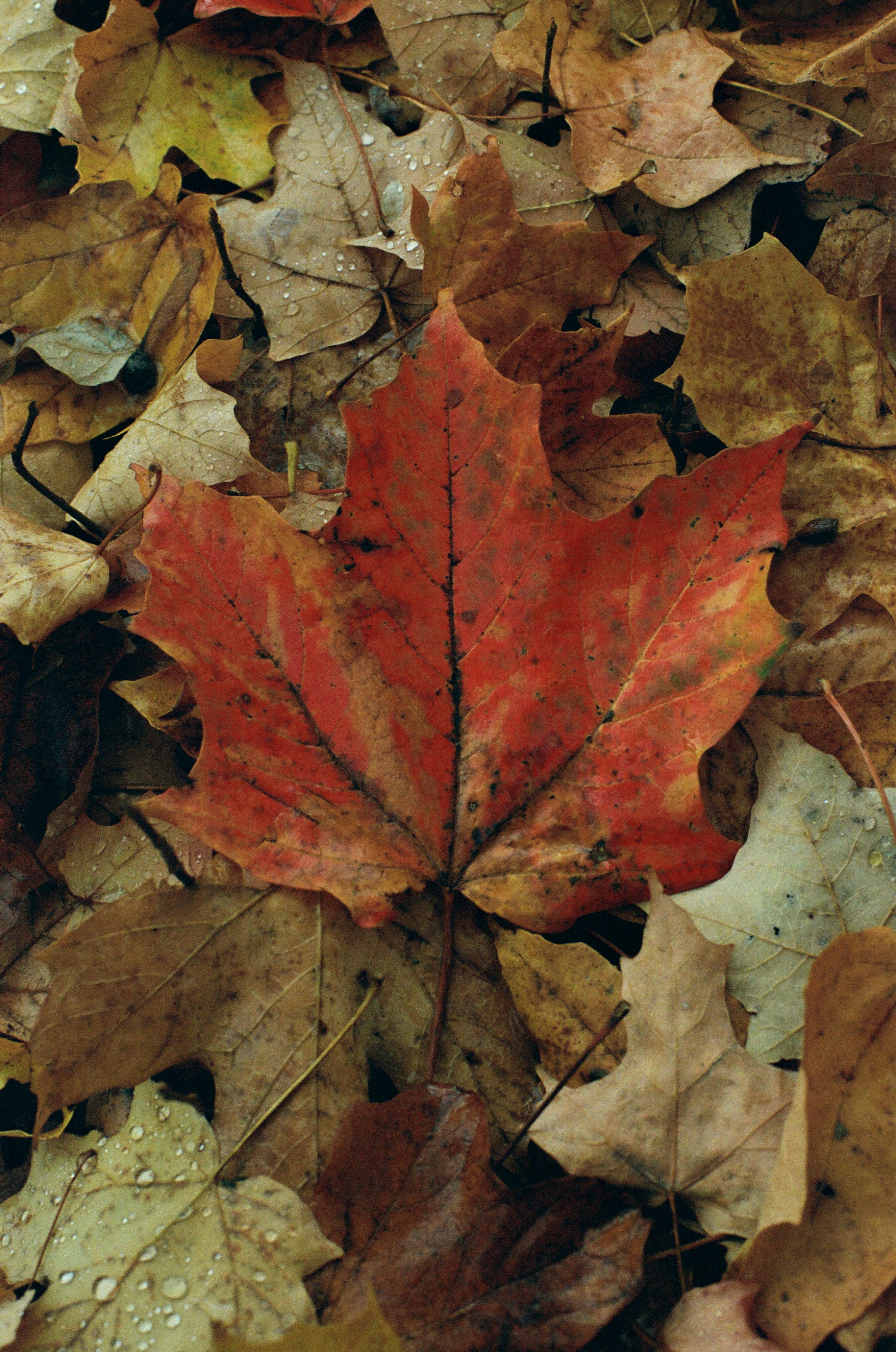 Photo by ukprajapati