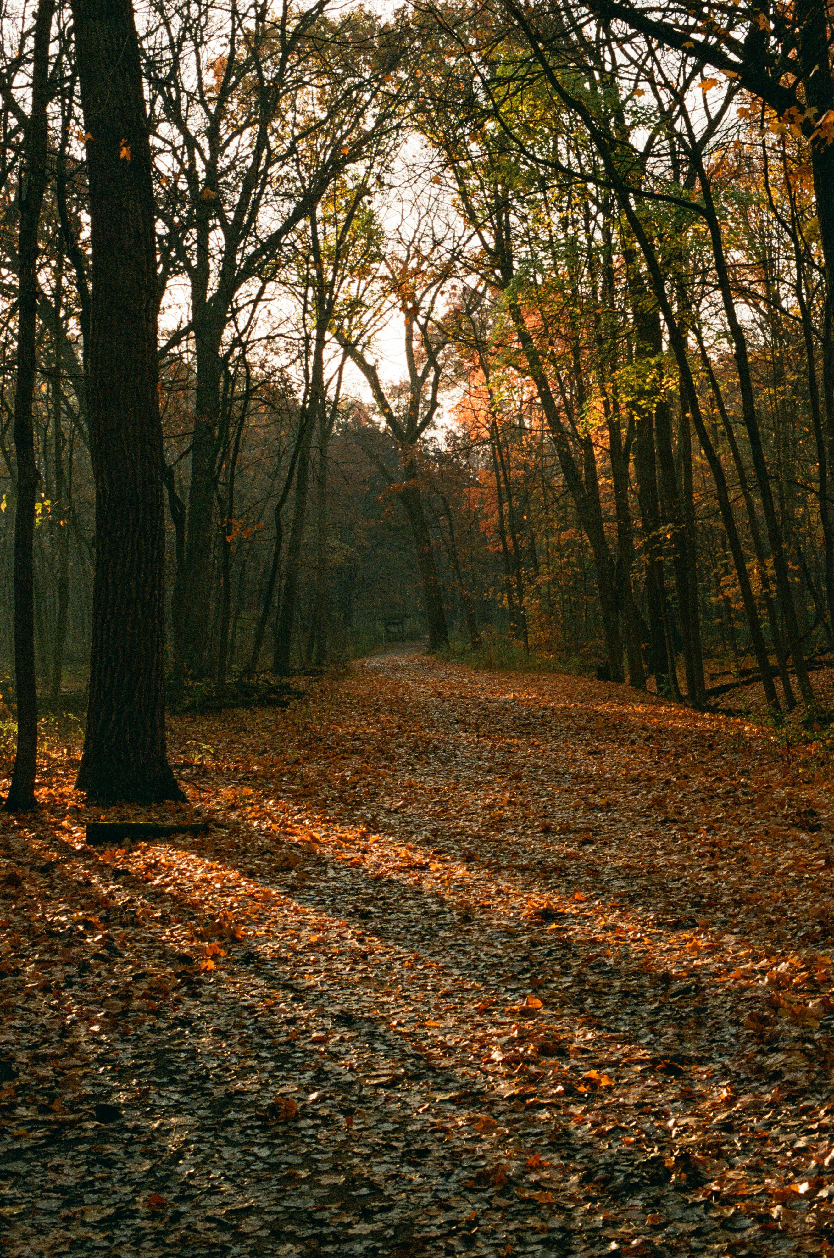 Photo by ukprajapati