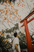 A person gazes upward at a red traditional Japanese torii gate adorned with a white lantern. Overhead, the branches of a tree are adorned with vibrant orange leaves, contrasting with the muted overcast sky. Dense foliage surrounds the scene, adding depth and a sense of nature.