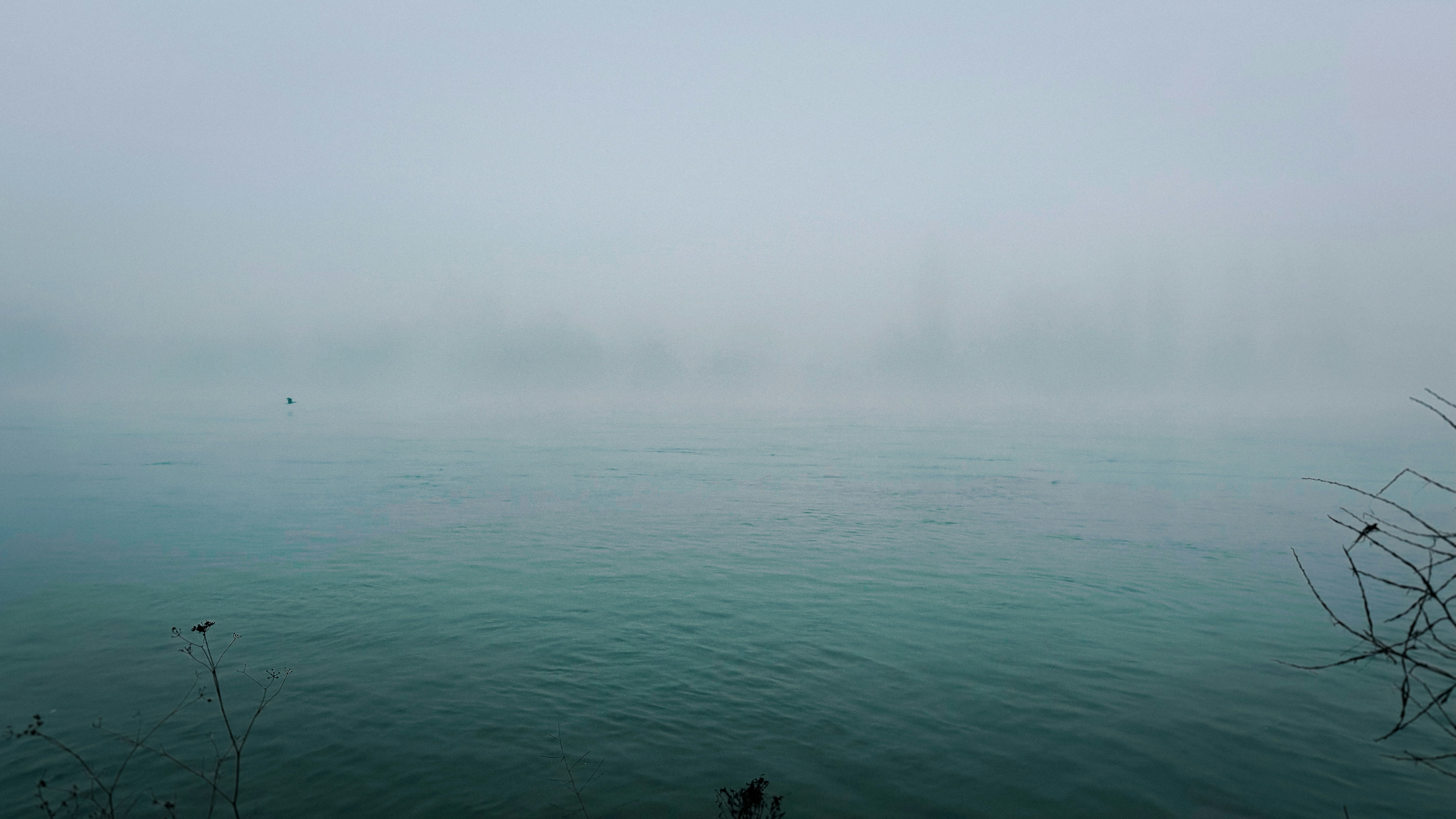 a body of water surrounded by a foggy sky