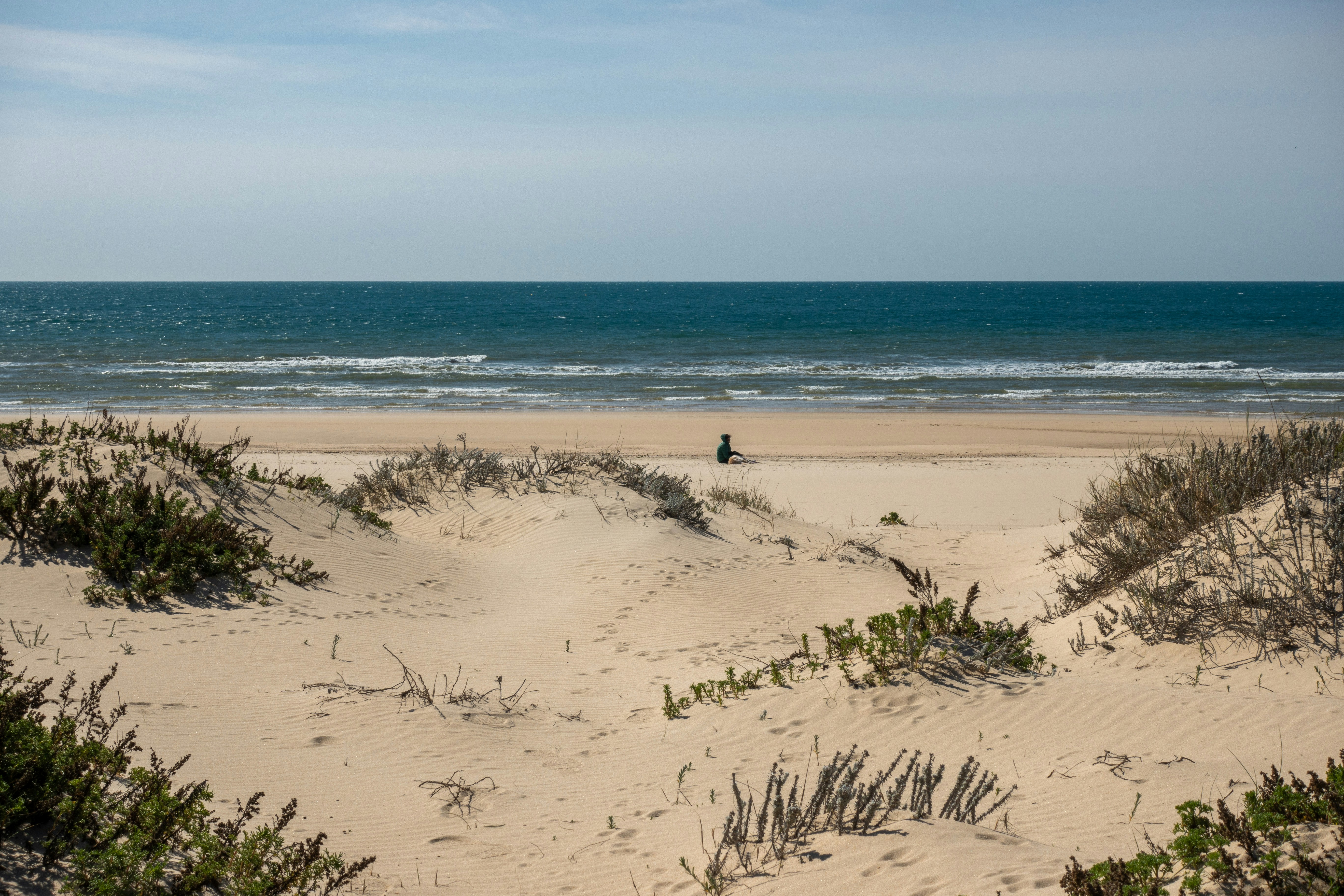 Photo by kristofer2482