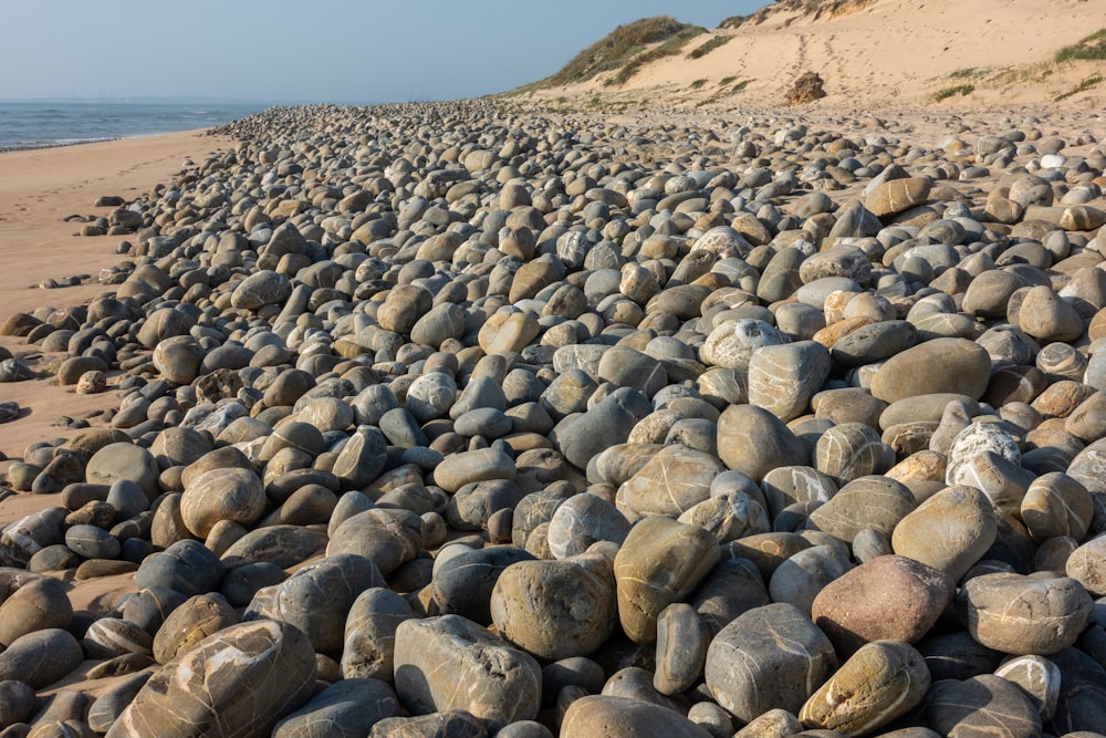 a large amount of rocks on a beach