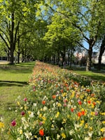 A vibrant garden path winding through freshly planted flower beds in spring.