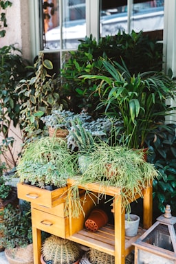 A variety of lush green plants placed on a wooden plant stand, featuring a mix of leafy and cactus plants. The stand has several pots and a few drawers, with some fallen pots beneath it. The setting is next to a window, surrounded by more plants and garden elements.