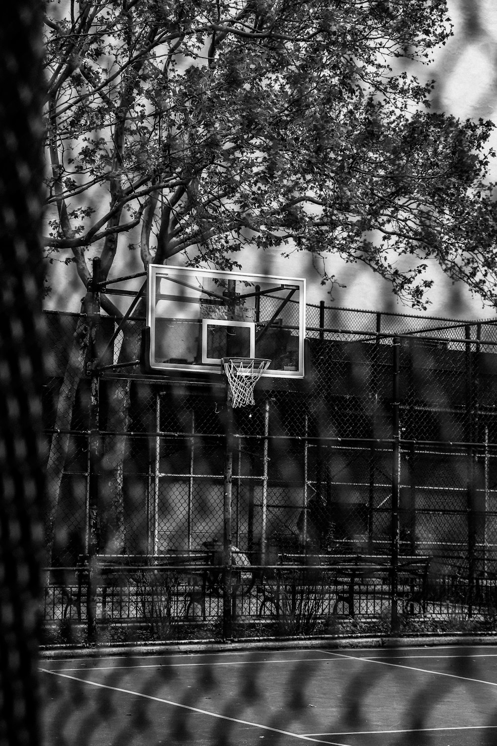 a black and white photo of a basketball court