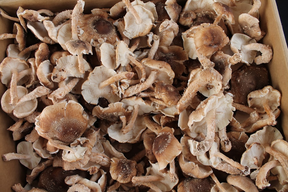 a box filled with lots of mushrooms on top of a table