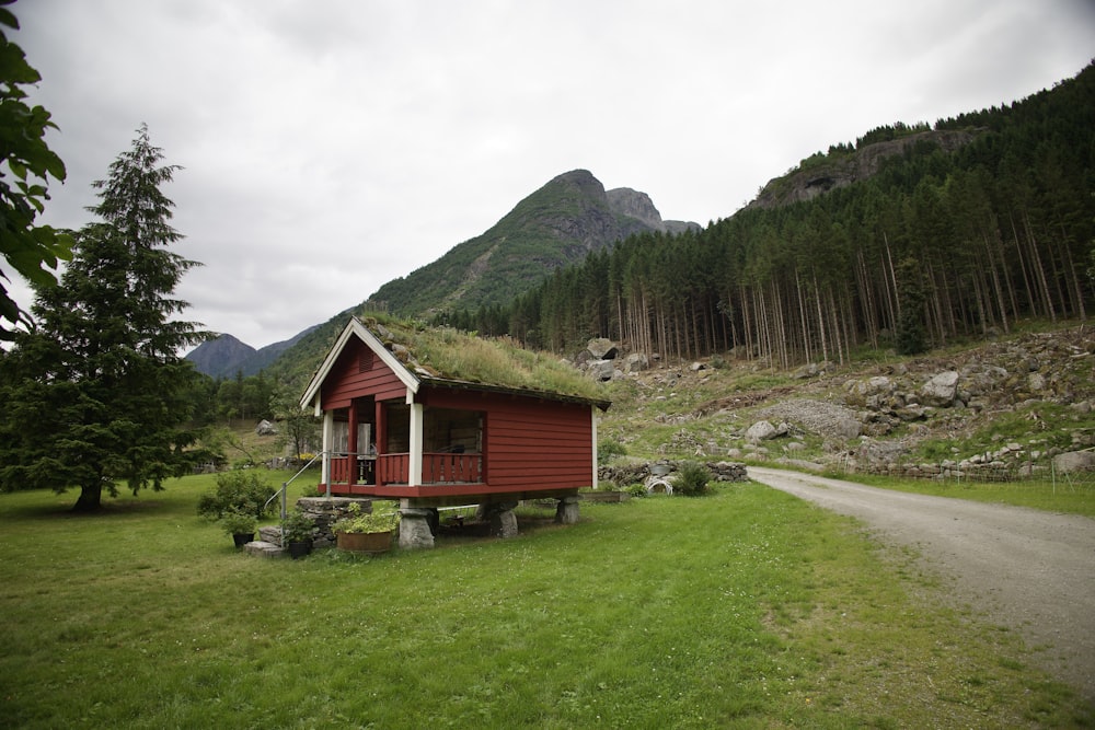 a small red cabin with a grass roof