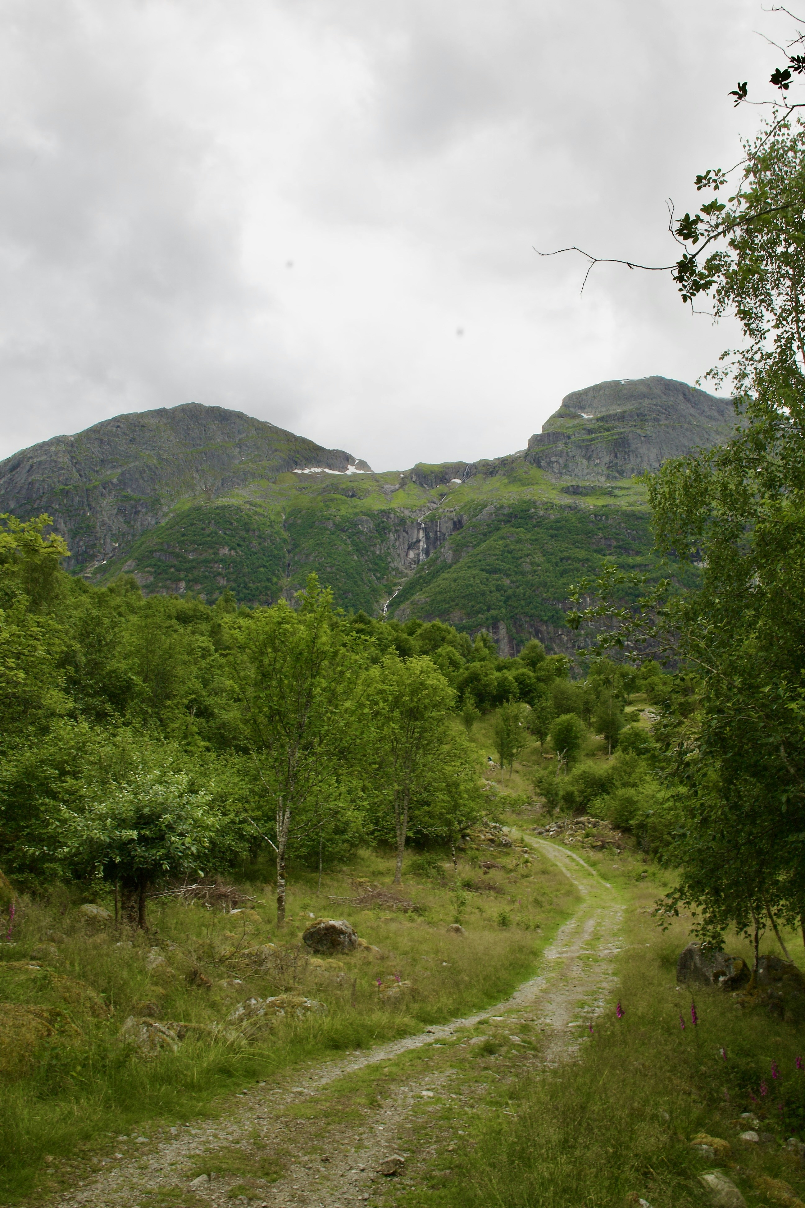 Photo by stockbirken