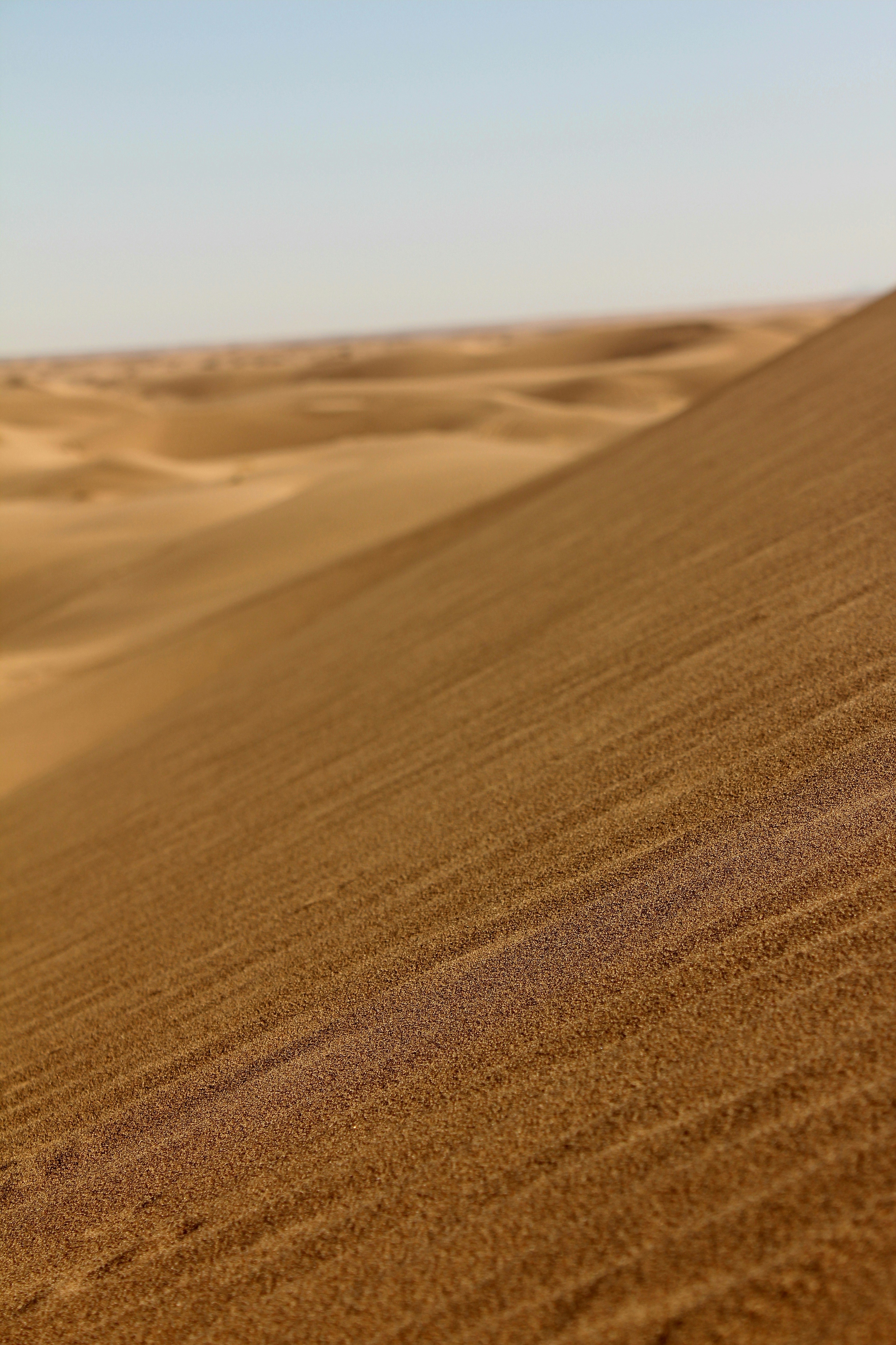 Photo by manavimoghadam