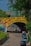 A colorful urban scene featuring a mural on a bridge with vibrant artwork and a message. The bridge is adorned with a yellow banner displaying a motivational phrase in Spanish. Several cars are parked on the street below, and pedestrians are walking. Surrounding the bridge are green trees and multi-story buildings painted in shades of green.