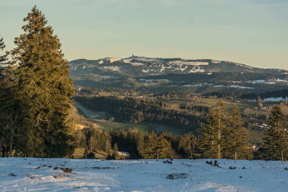 a view of a mountain range with trees in the foreground