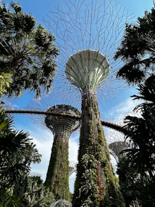 Tall, futuristic tree-like structures covered in greenery reach towards a clear blue sky. These vertical gardens are part of a larger landscape filled with lush foliage. Elevated walkways connect the structures, providing a unique aerial view of the area. The scene is dominated by a vibrant mix of natural and engineered beauty.