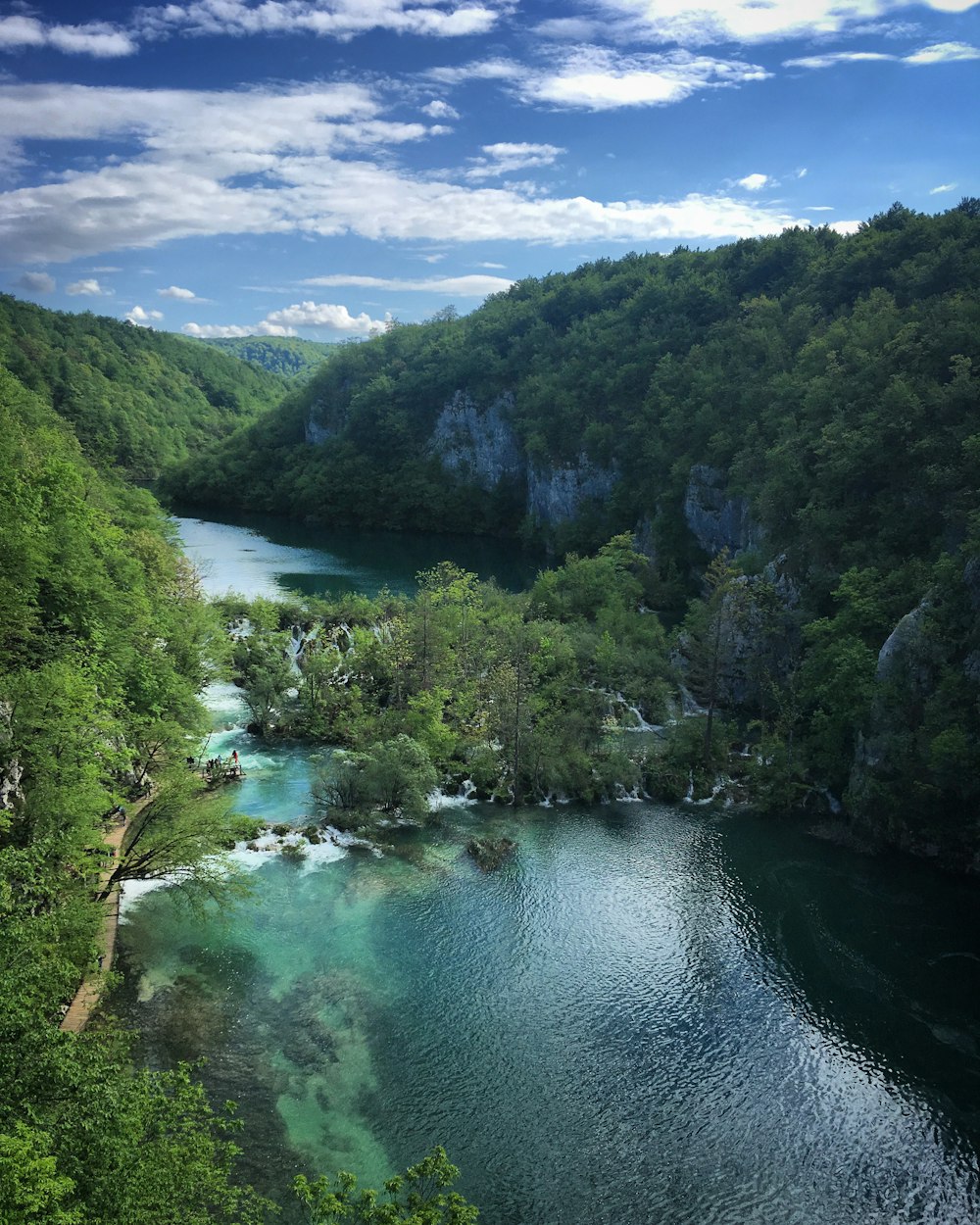 a body of water surrounded by lush green trees