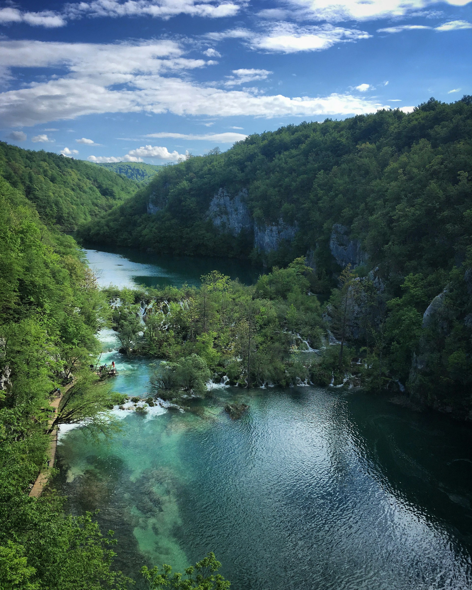 a body of water surrounded by lush green trees