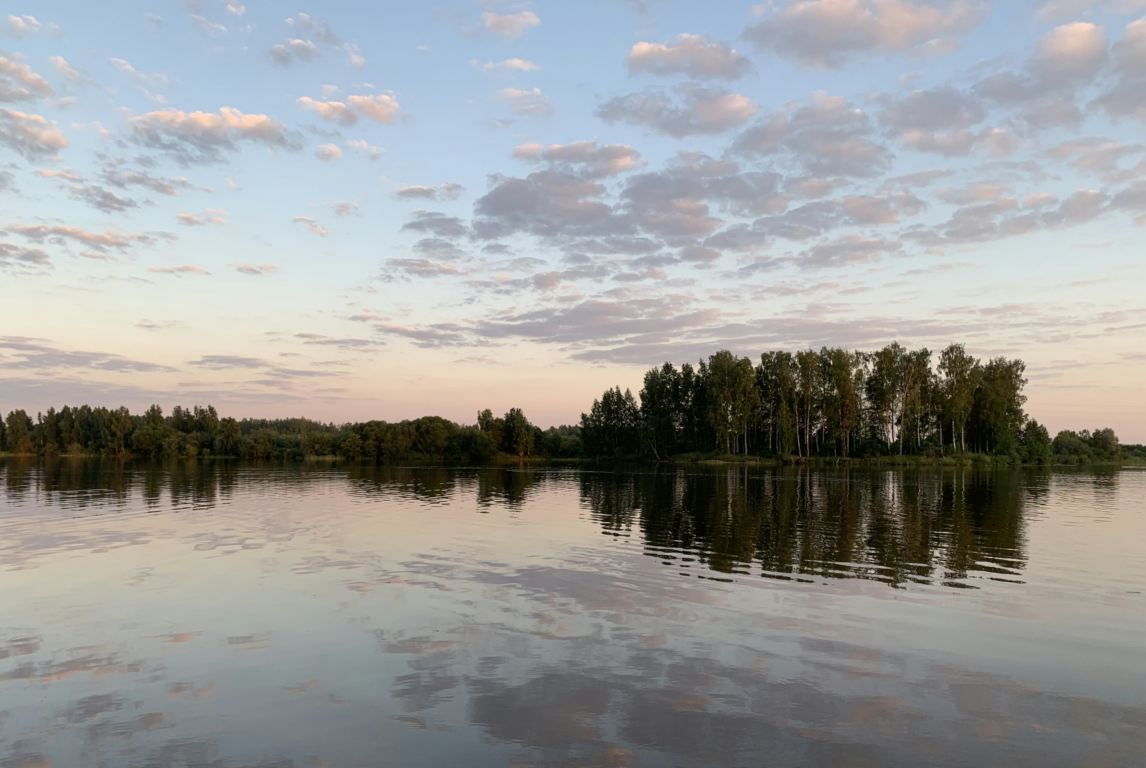 Photo by sergei_gussev