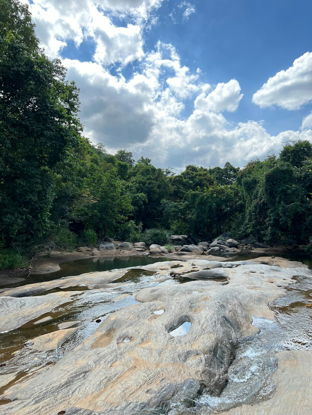 a river running through a lush green forest