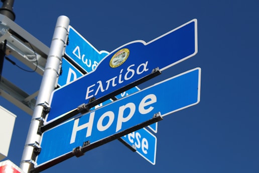 a close up of a street sign with a sky background
