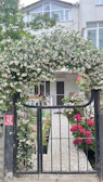 An elegant entrance gate decorated with light pink and white flowers, glowing warmly in the evening.