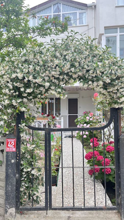 An elegant entrance gate decorated with light pink and white flowers, glowing warmly in the evening.