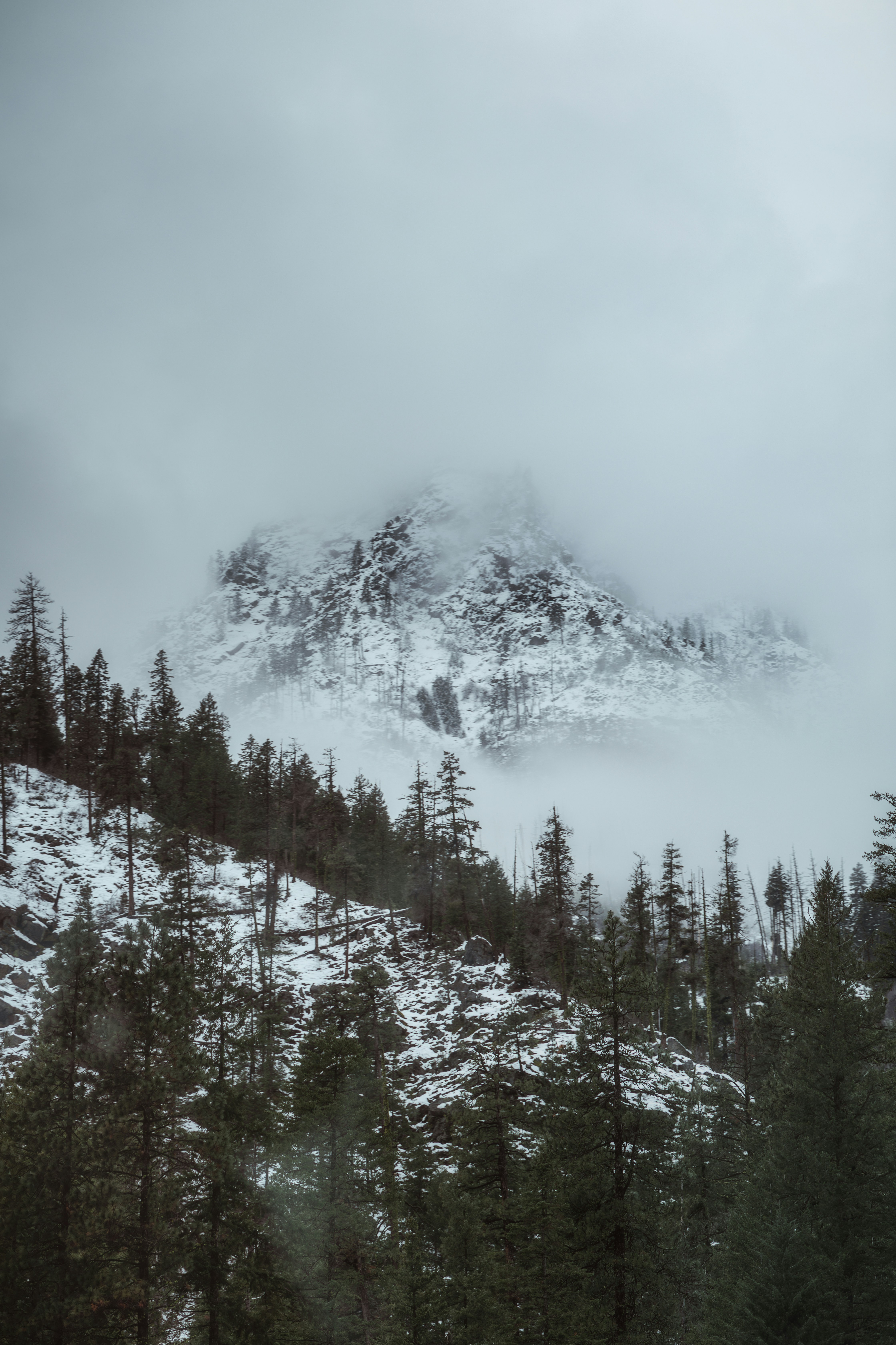 a mountain covered in snow and surrounded by trees