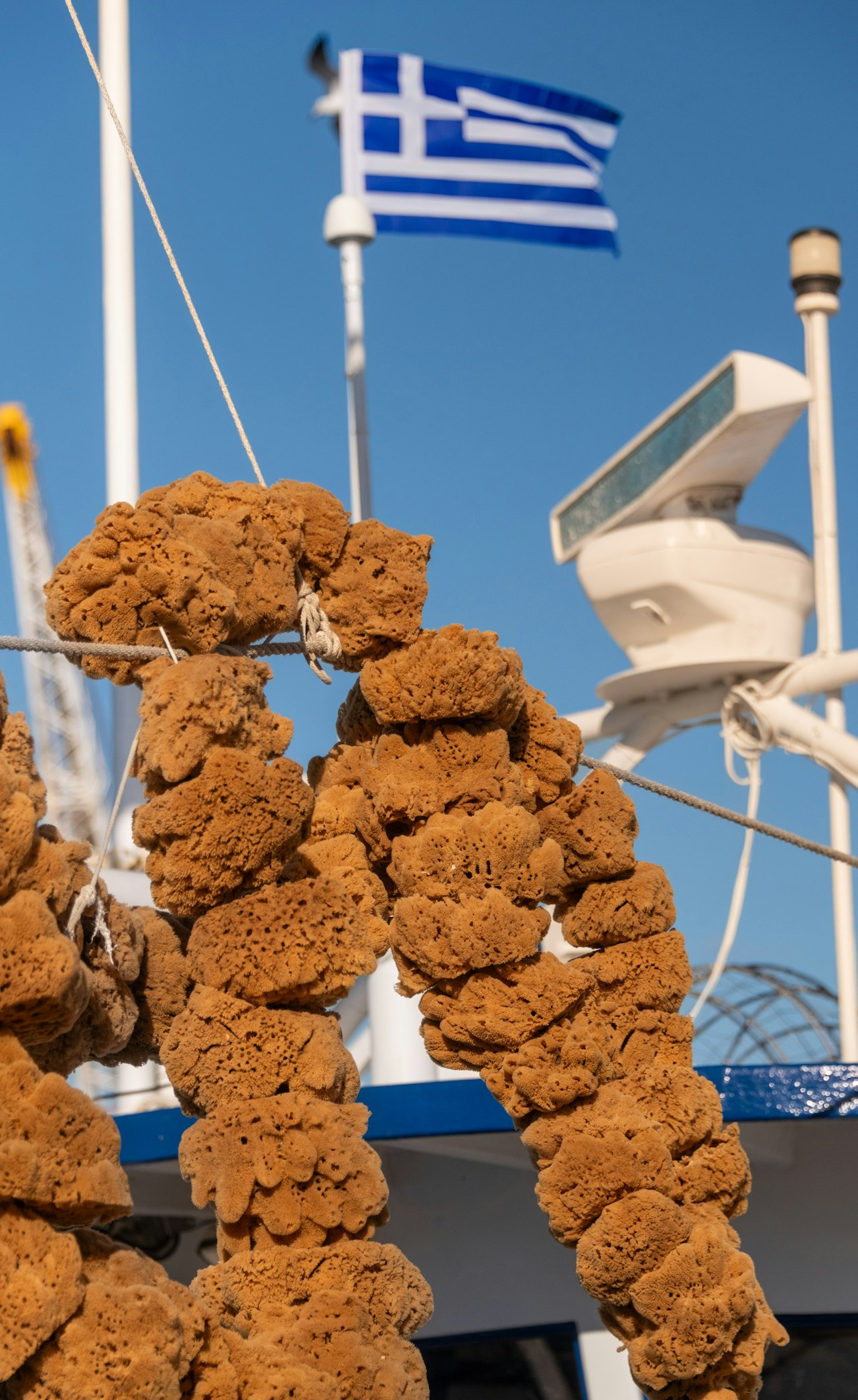 Tarpon Springs Events This Week: 4 Greek-Coast Escapes (July 1–9)