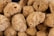A collection of natural sponges with a textured, porous surface, displayed closely together. The sponges are light brown and have a fluffy appearance.