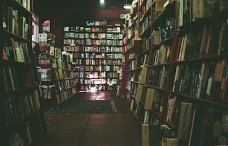 Bookshelves filled with a wide variety of books line the walls of a dimly lit bookstore. A narrow aisle leads to the back of the store where more books are displayed under a warm, ambient light.