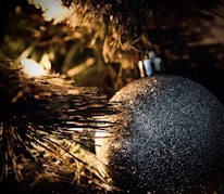 Close-up of sparkling glass ornaments hanging delicately on a pine branch.