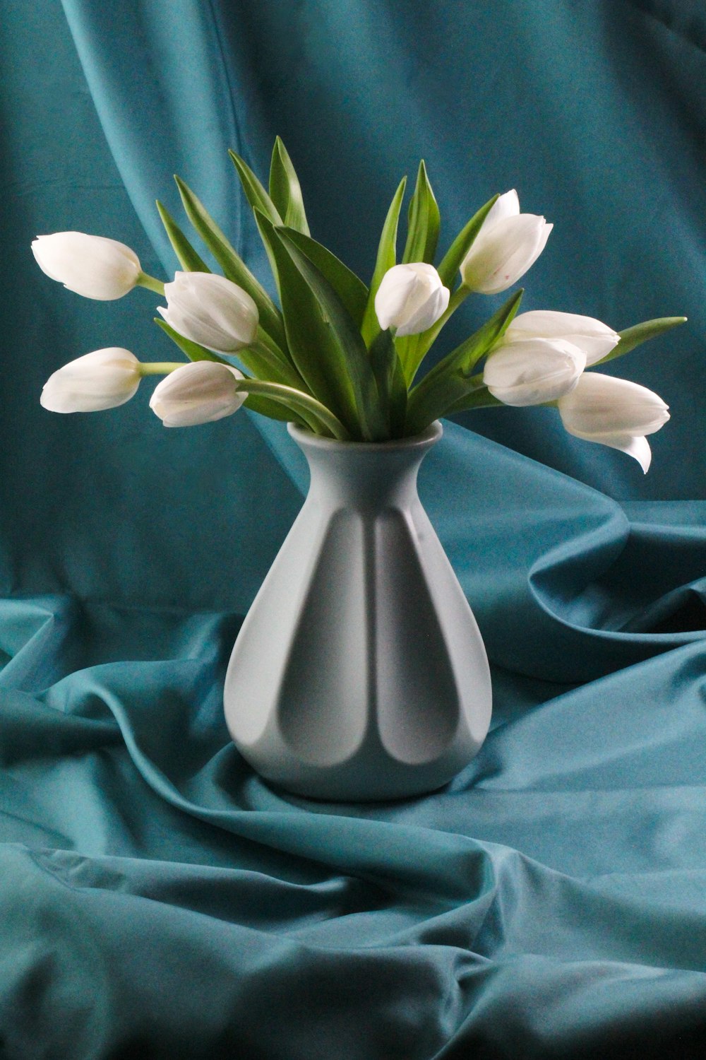 a vase with white flowers on a blue cloth