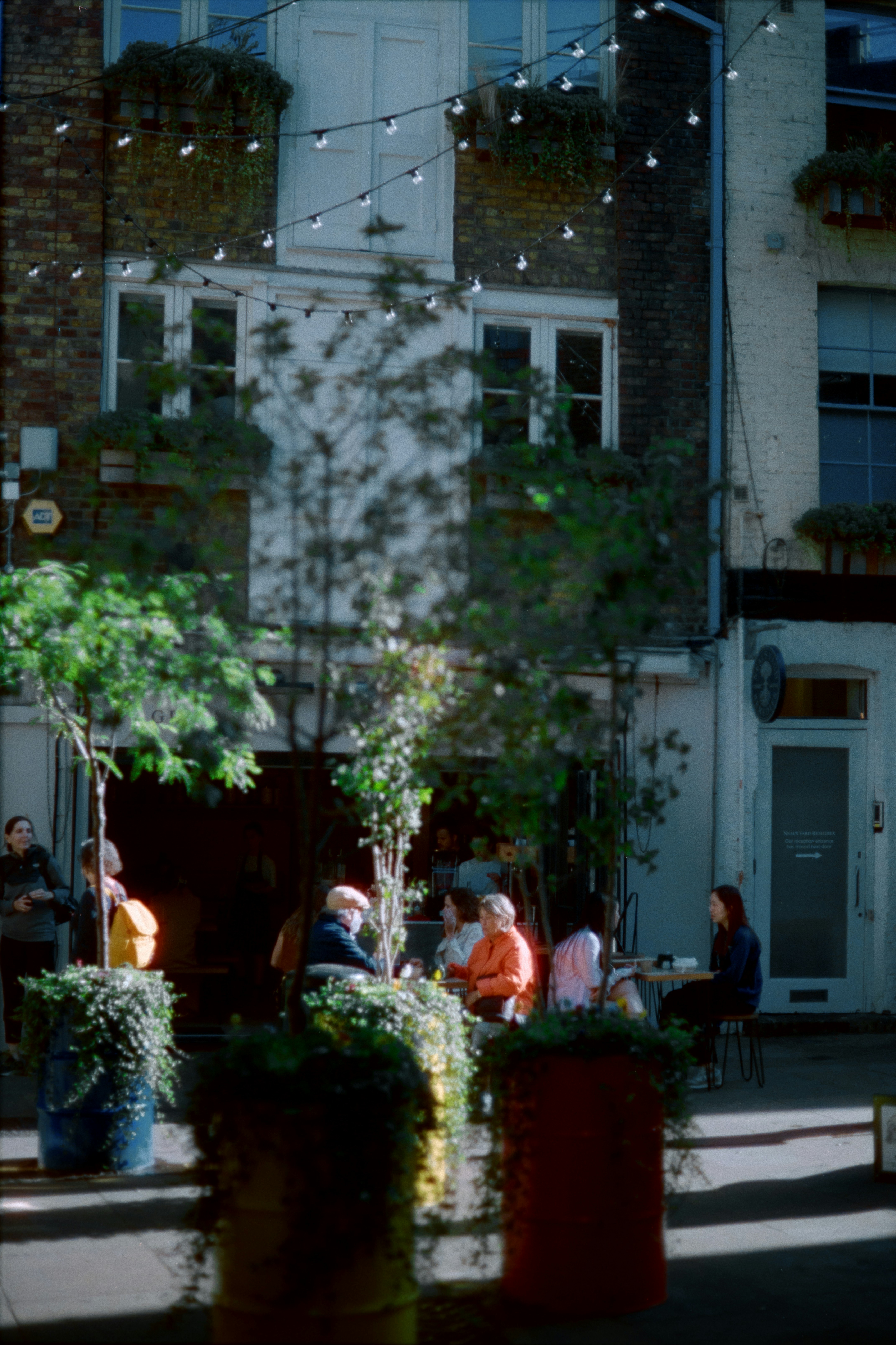 Photo by babikacharava