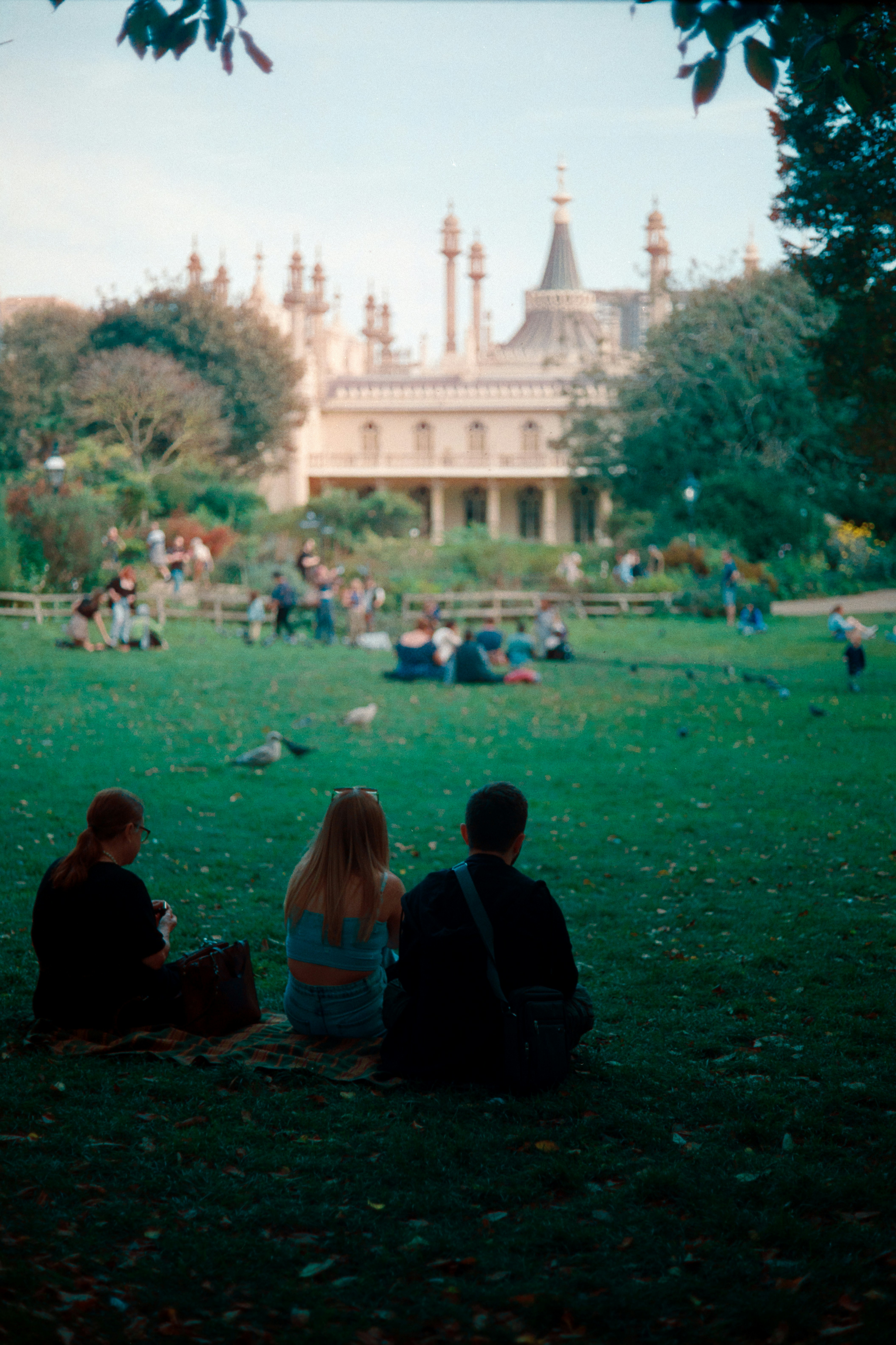 A group of people sitting on top of a lush green field photo – Free ...