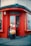 A person is sitting outside a red-painted storefront, holding and seemingly playing a large stringed musical instrument. The store appears to be related to percussion, as indicated by signage. The scene looks urban with a paved sidewalk, and the windows have a grid of small square panes.