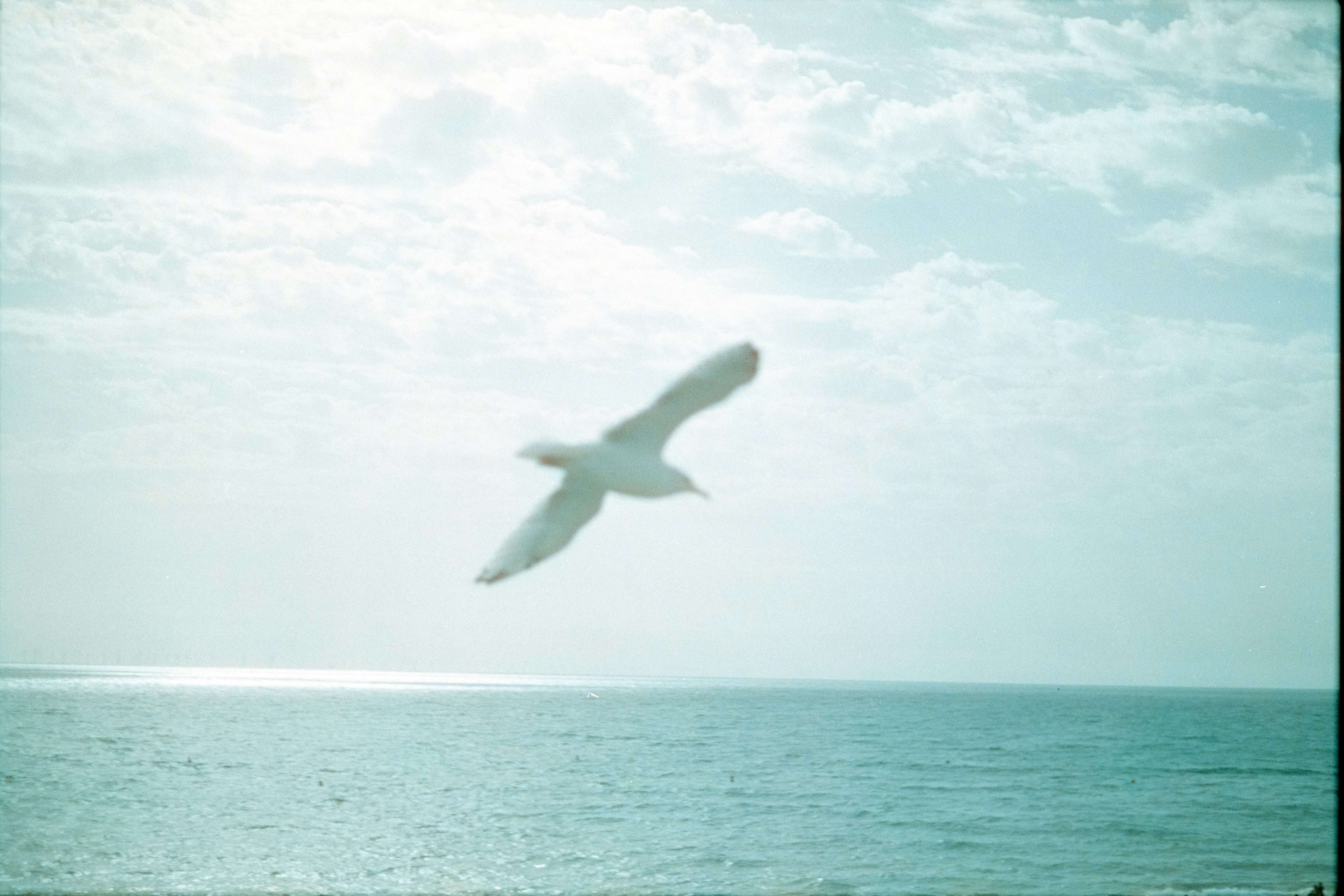 Photo by babikacharava