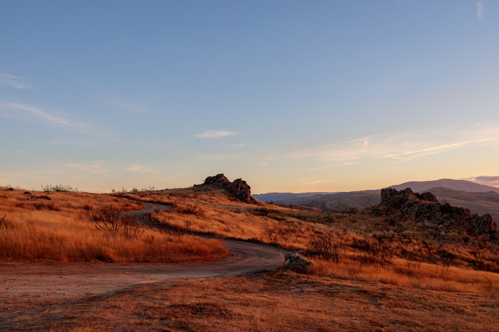 a dirt road in the middle of a field