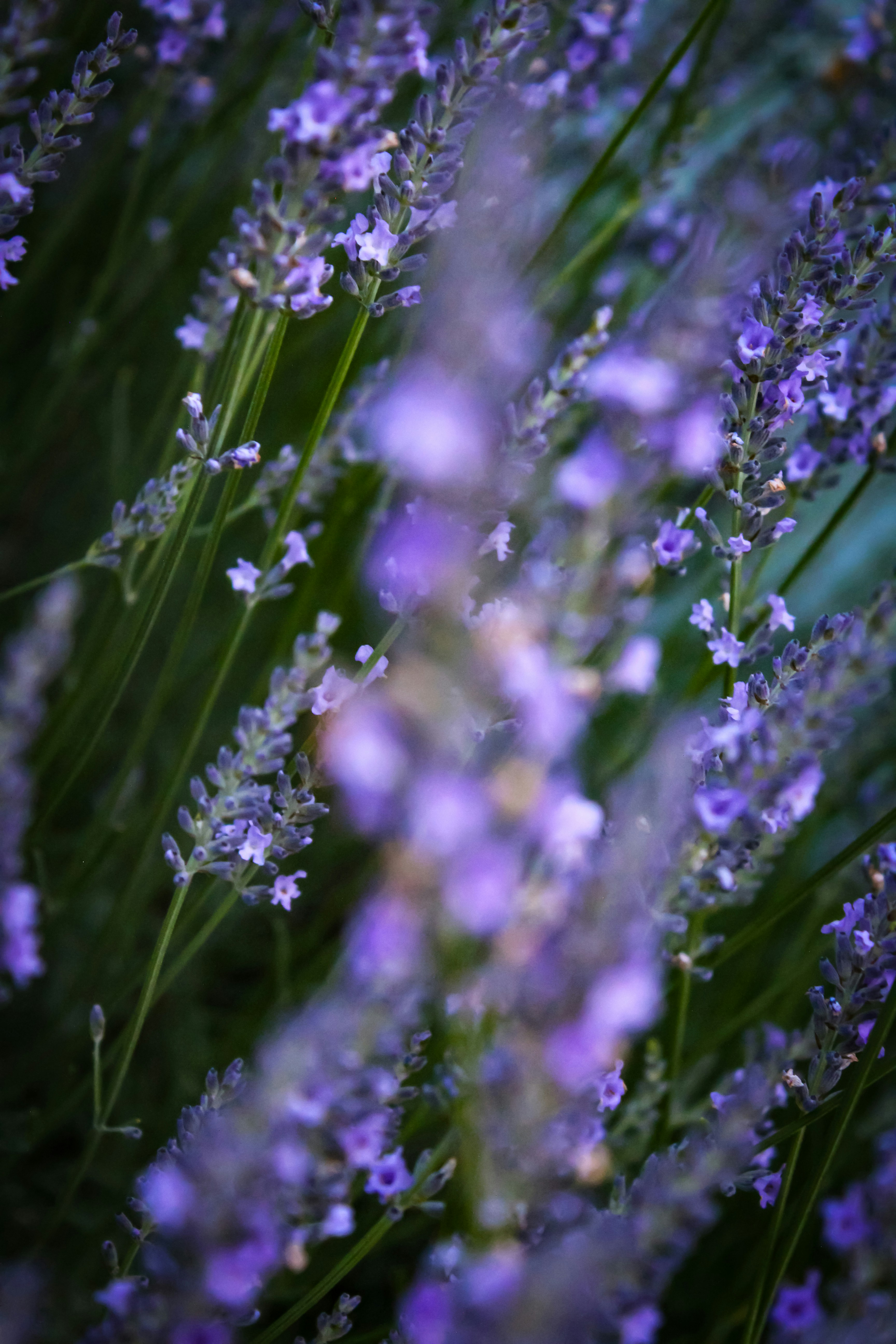 Photo by light_and_hope