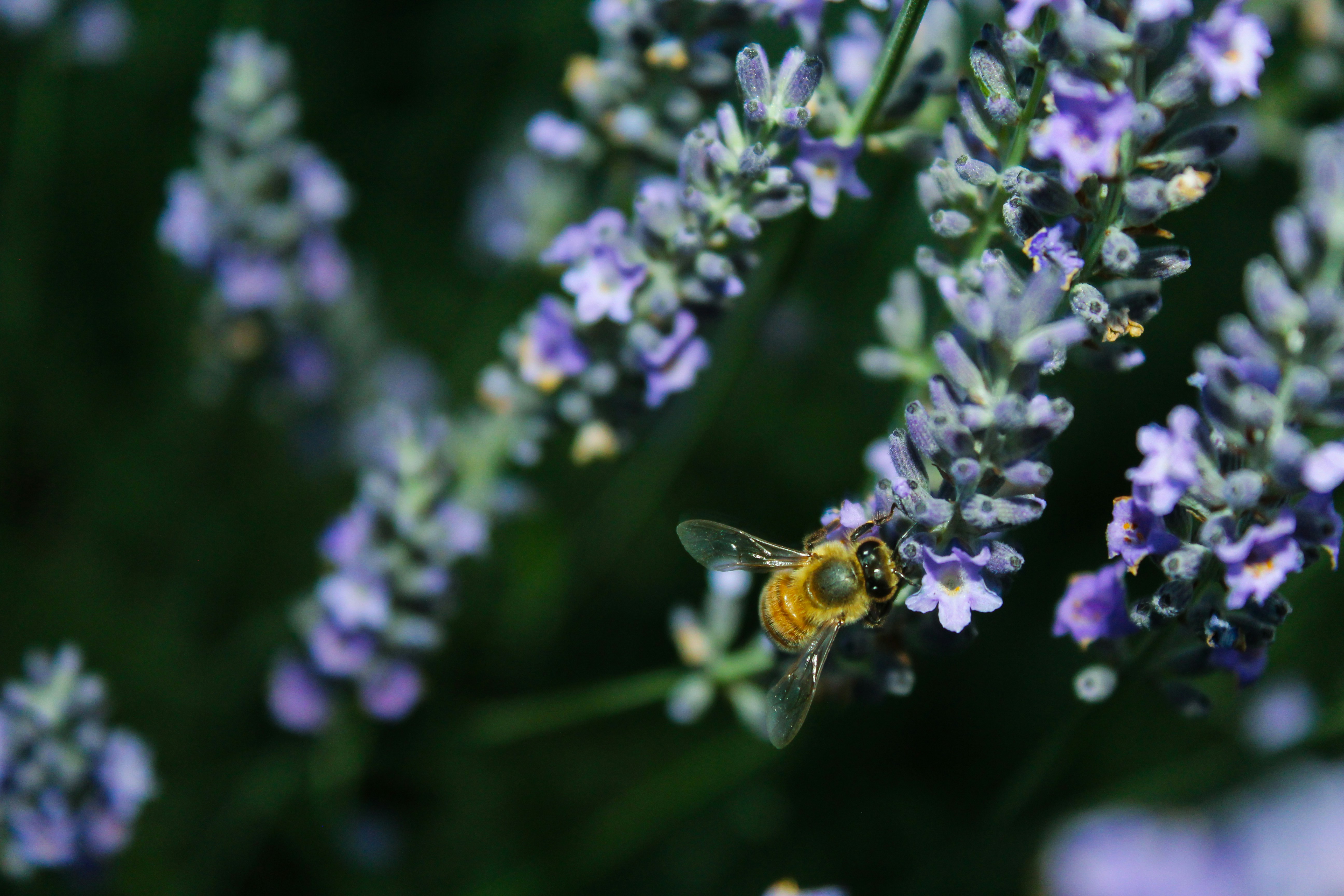 Photo by light_and_hope