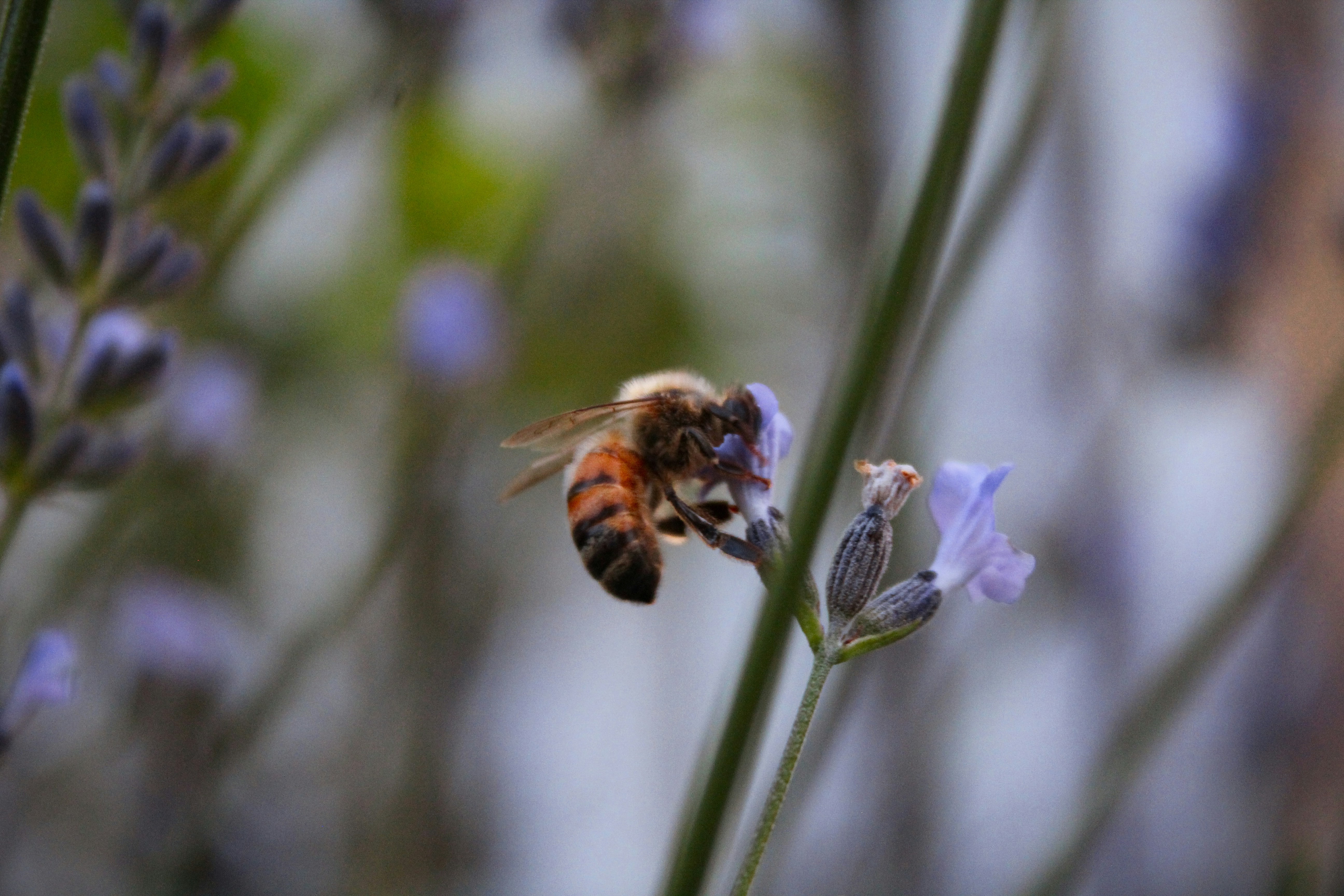 Photo by light_and_hope