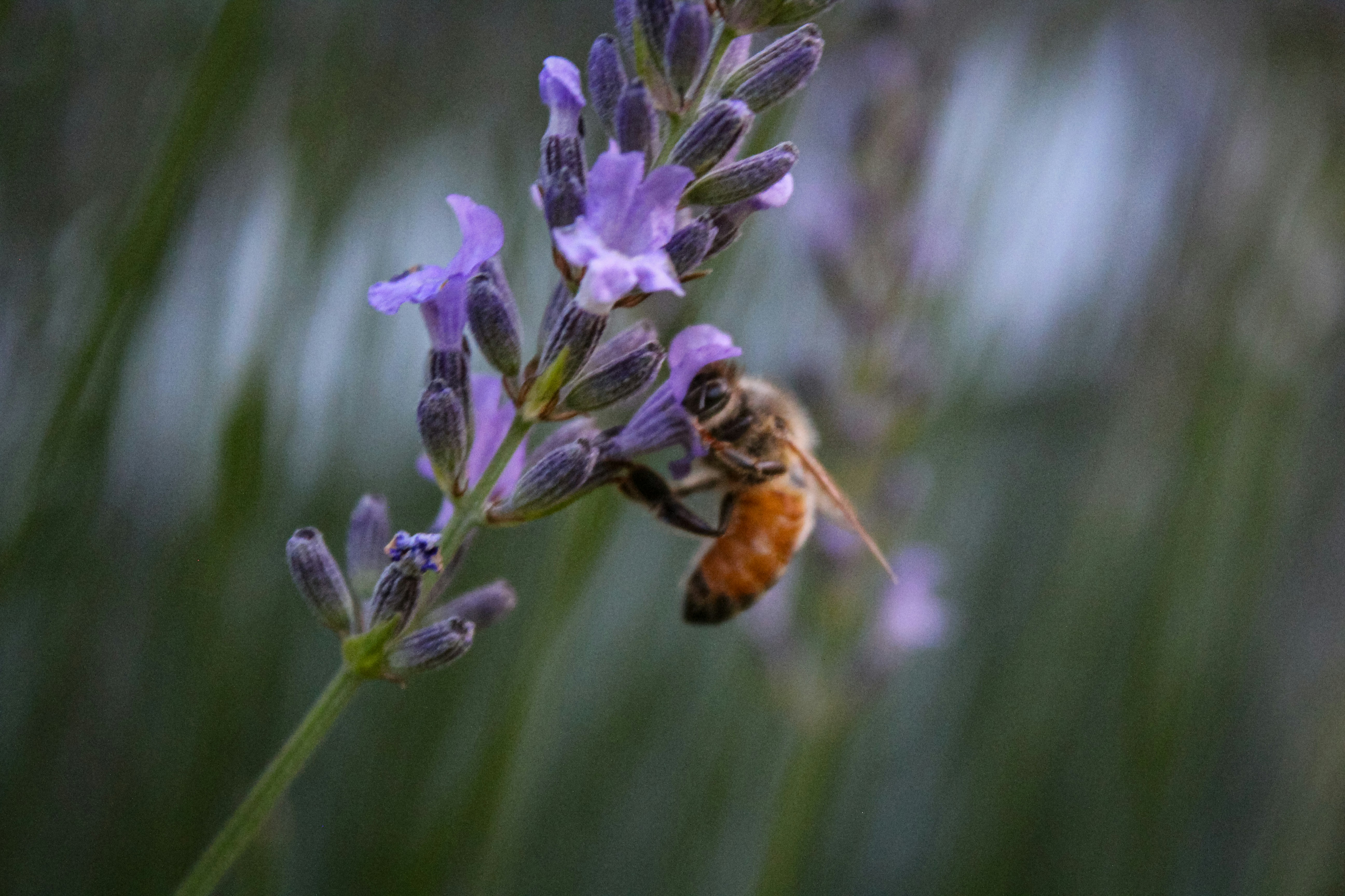 Photo by light_and_hope