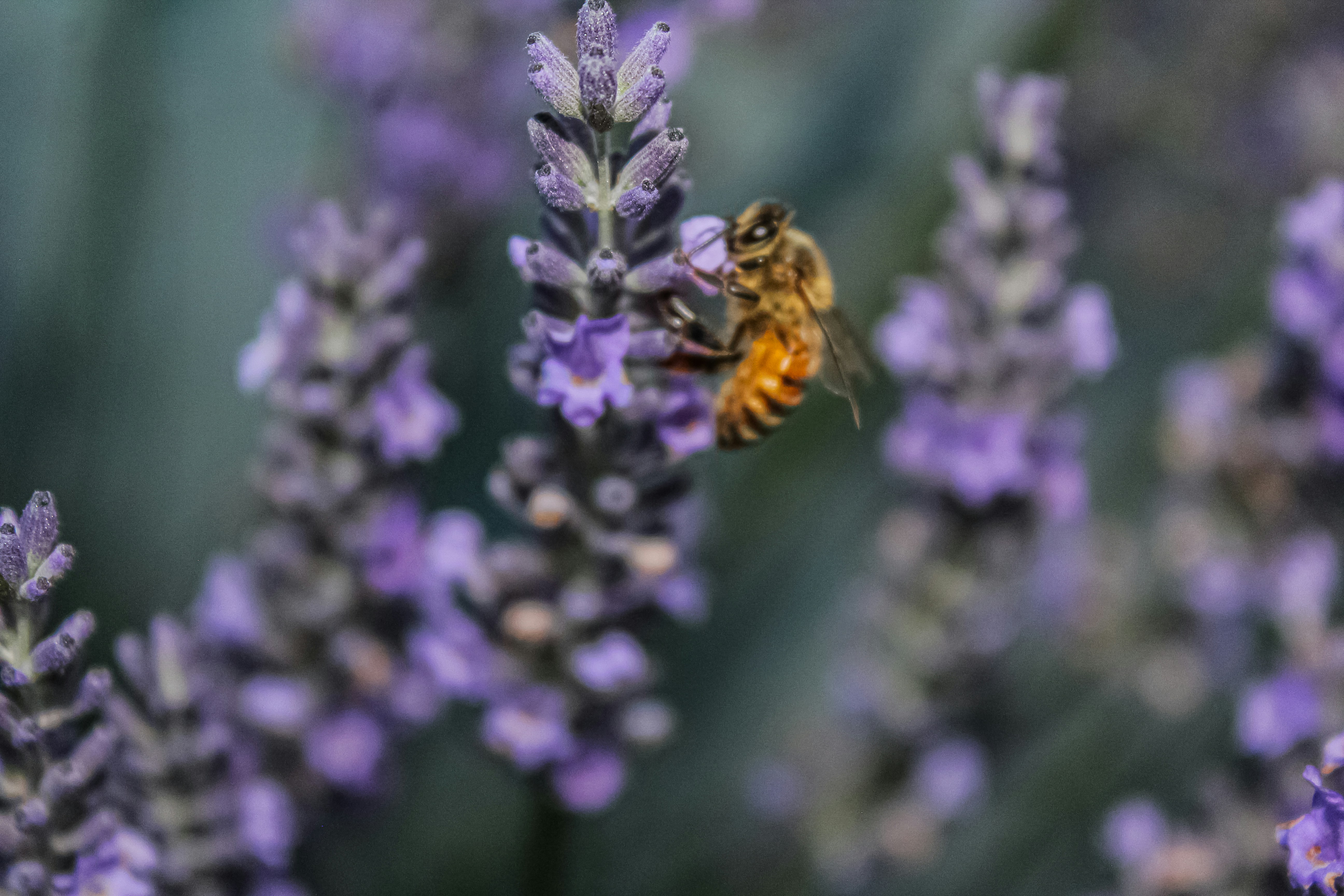 Photo by light_and_hope