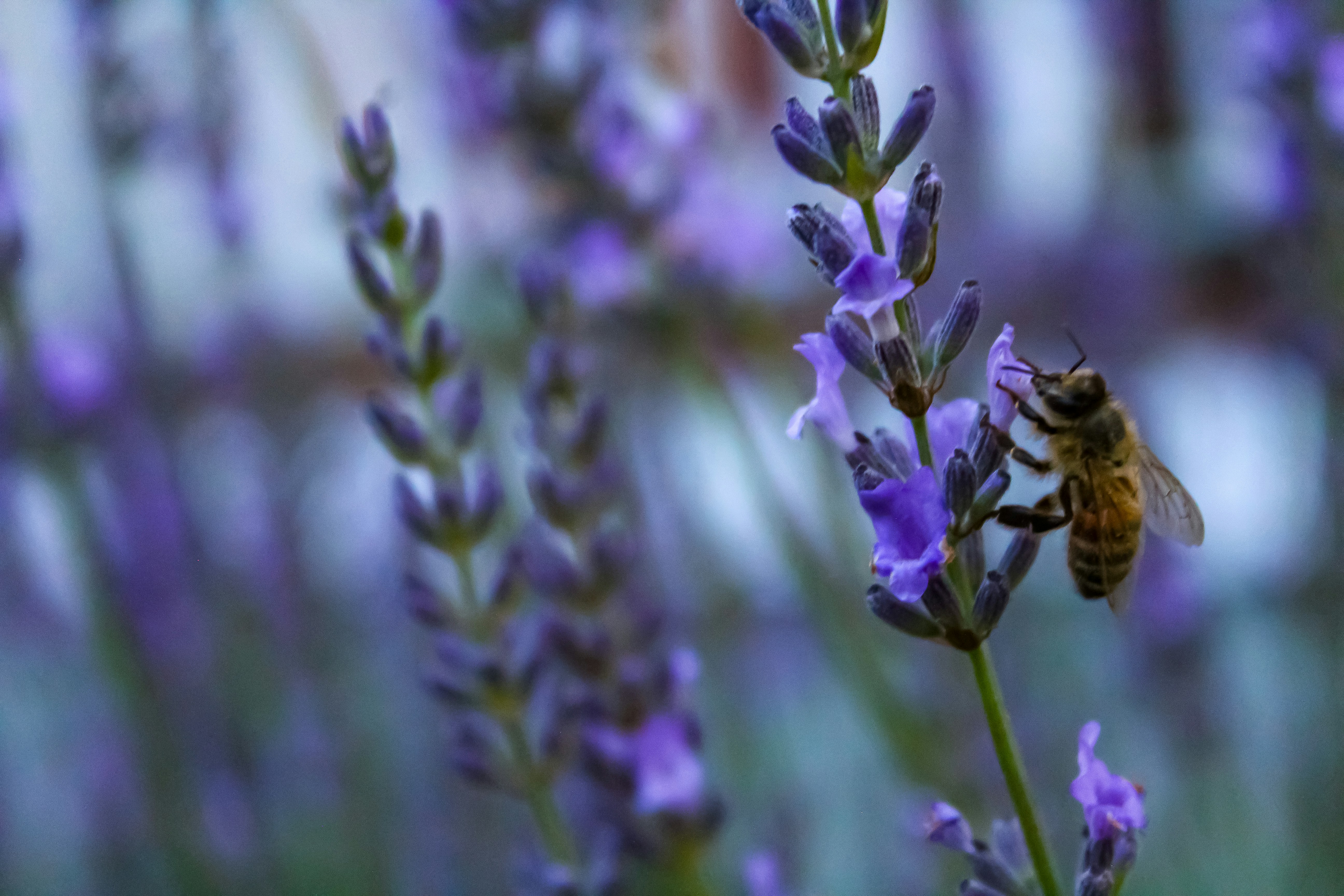 Photo by light_and_hope