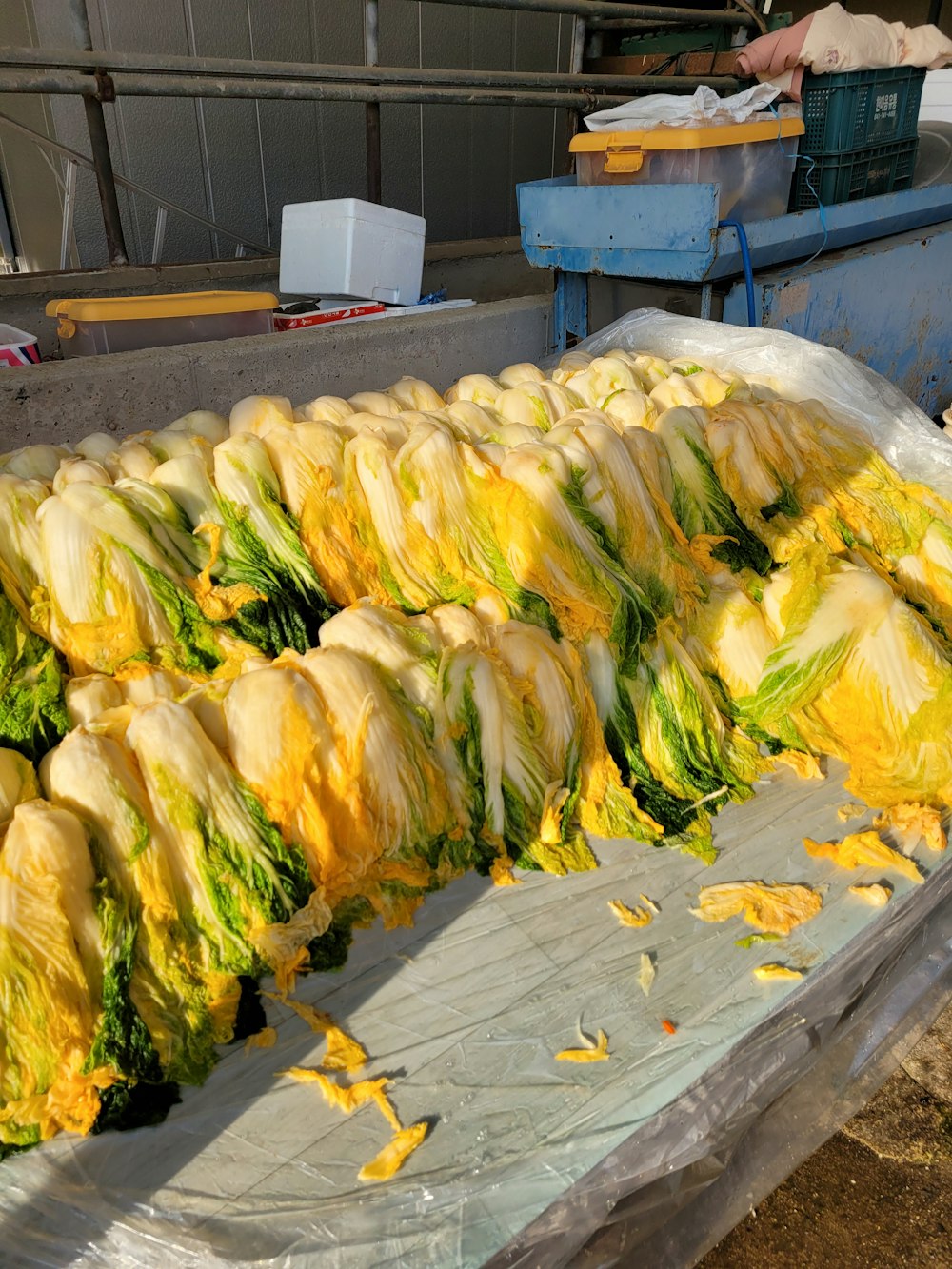 a bunch of lettuce sitting on top of a table