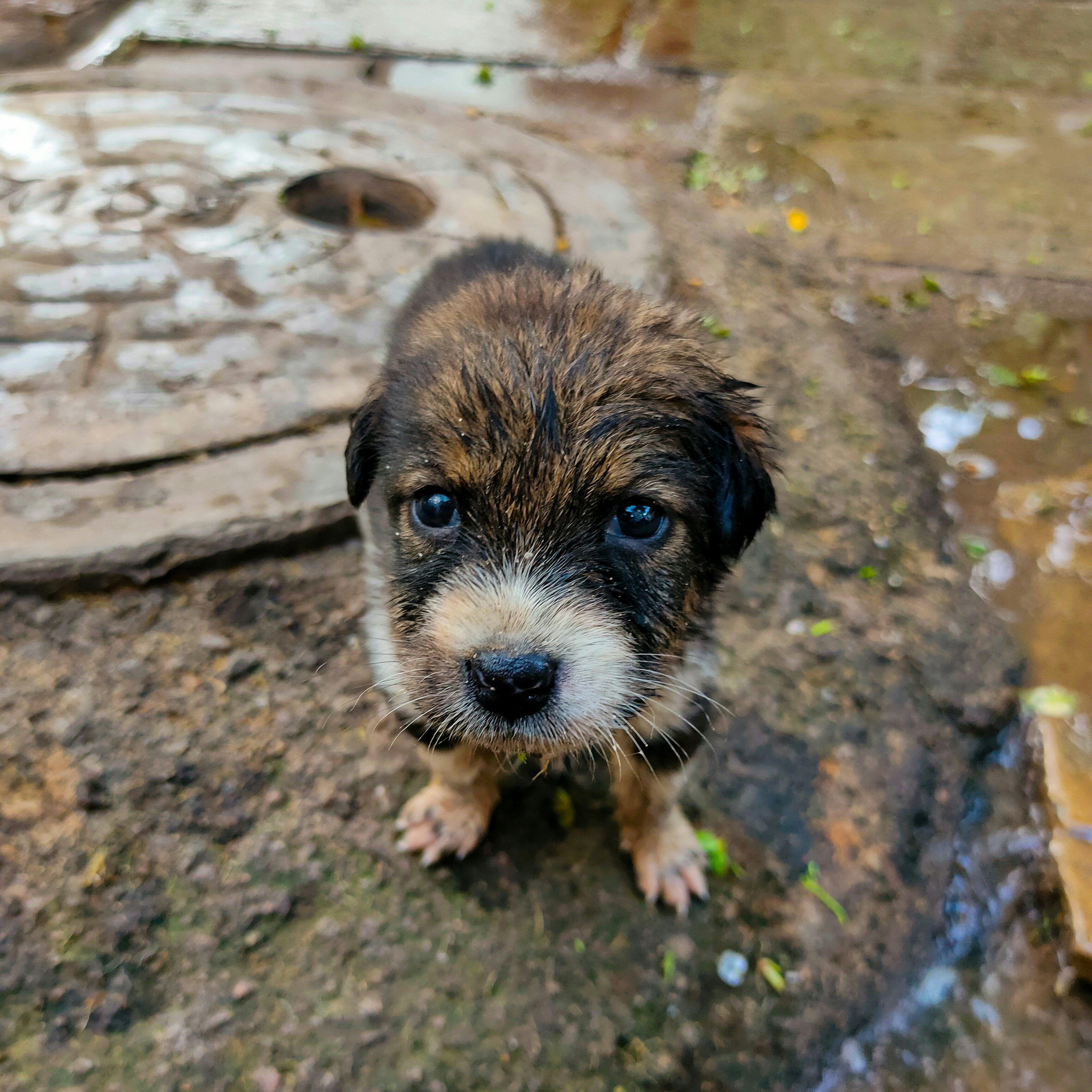 Photo by anandramavath_786